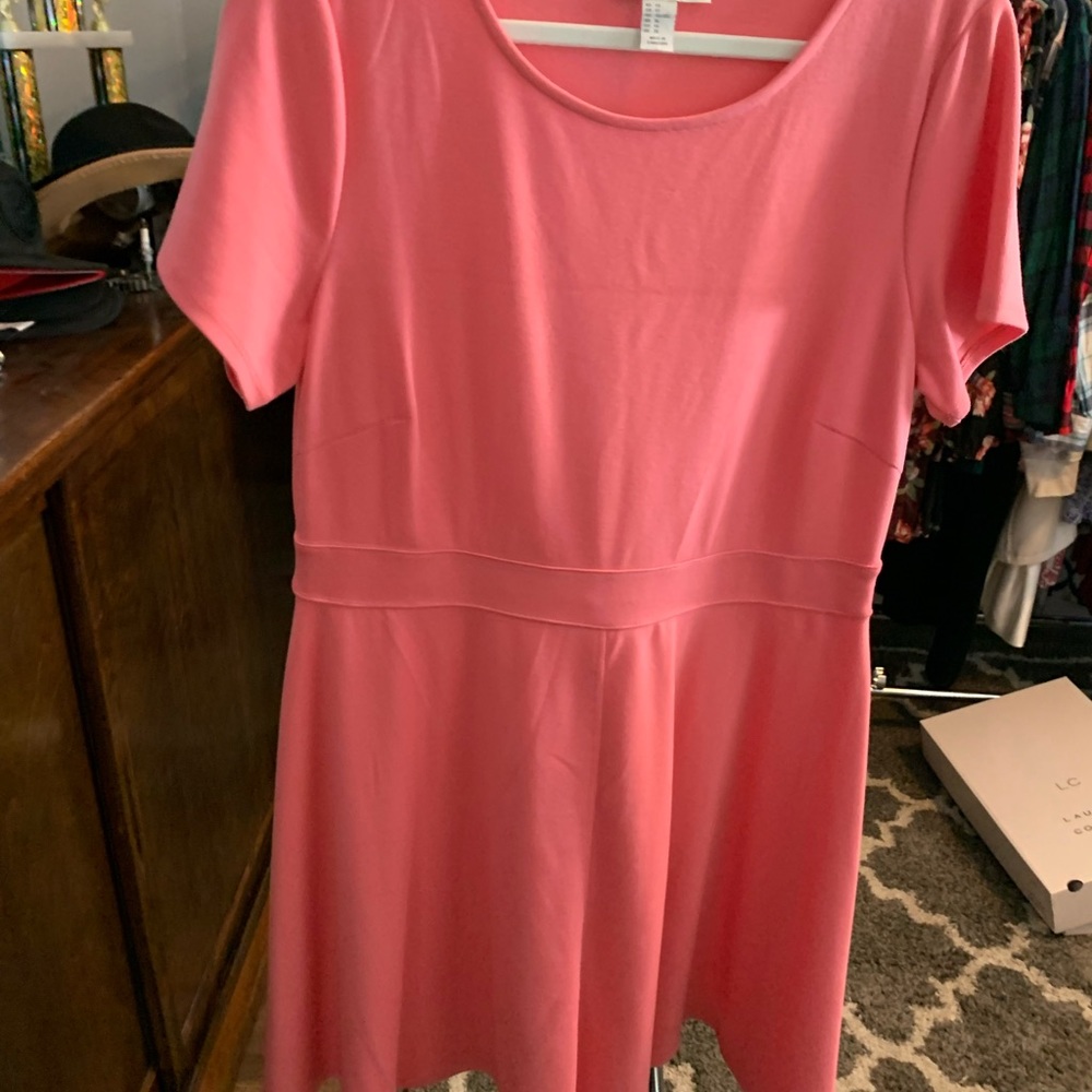 Forever 21 Pink Dress